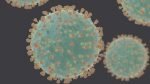 Coronavirus COVID-19