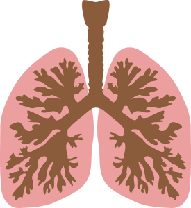 Lungs Bronchitis and HBOT Hyperbaric Studies and Research